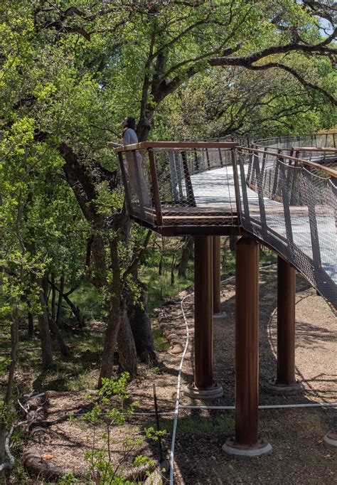 phil hardberger park skywalk.